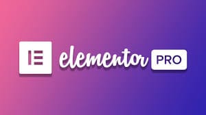 Elementor Pro with Lifetime Access